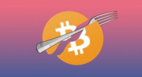 What Is a Crypto Fork?