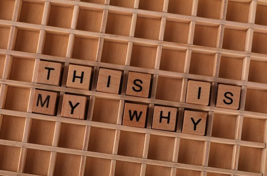 why 4082563305 increasing popularity
